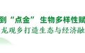 宁波十大“两山”实践典型案例丨海曙：从“点翠”到“点金” 生物多样性赋能乡村振兴
