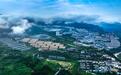 君子务本，本立而坚守卓越品质——  跨越山海的习酒逐梦人