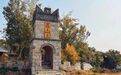 菏泽乡村旅游：回归自然，远离喧嚣，邂逅诗意与烟火