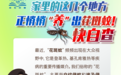 这些被你忽略的地方，天天都在“养”花蚊子咬你！