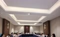 政企联动破题中医药数字化 专家研讨会为医养创新把脉定向
