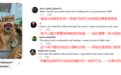 “海南旅游国际推荐官”项目首场活动获超500万浏览量，网友直呼“想立刻飞海南”