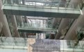 粤港澳抗战迁徙办学档案史料展在广州开幕