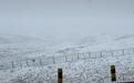 祁连山8月突降鹅毛大雪，下了三四个小时，广东游客：遇到人生第一场大雪，还是夏天的雪，太幸运