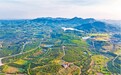 金溪县：废弃矿山变身花卉苗木基地（图）