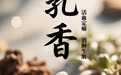 “AI”上中医药·每天认识一味中草药（92）｜乳香