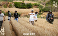 专访｜导演刘家成：把《生万物》的生命力传达给观众
