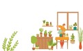 禁止蕉绿放青松　植系青年用绿植疗愈情绪