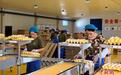 年产鸡蛋5.4亿枚 邯郸广平打造自动化蛋鸡养殖基地