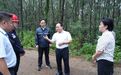 李锋到万宁和乐镇等地检查台风“剑鱼”灾后电力恢复工作