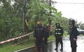 有序恢复！育才生态区全力做好台风“剑鱼”灾后恢复重建工作