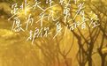 猛兽“剑鱼”没把三亚拍在沙滩上？零伤亡？