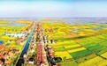 田间车间都是 致富路——岳阳县中洲乡“一村一品”绘就强村富民新图景