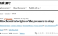 为啥越累越想睡？《Nature》最新发现：线粒体 “喊累” 时，睡眠就来了