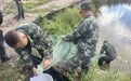 黑龙江省打破世界最高纬度规模化养殖小龙虾新纪录