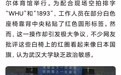 胡锡进：武大里的这一幕，还是有些马大哈了