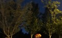 夜骑守安全，维乐 ANGEL RISE + 坐垫护你畅行