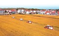 洞庭蝶变岳阳县后发赶超的地理密码
