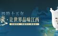 以瓷盛酒，以宴载道|四特十五年瓷酒宴，让世界品味江西