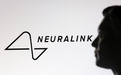 马斯克脑机公司Neuralink：已为全球12人植入芯片