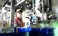 甘肃临泽番茄成熟季　红果酱为漂洋过海出口开足马力