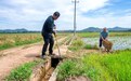 金溪县：建好管好用好高标准农田（图）