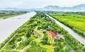 张家口湿地生态复苏：百万亩湿地绘就生态底色
