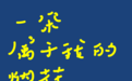全球烟花艺术创作大赛｜“一朵属于我的烟花”