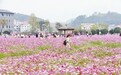 上栗县赤山镇幕冲村加强乡风文明建设：乡村蝶变满目新