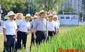 李红军调研九洲公园建设情况：加强运营管理 提升游玩体验