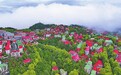 庐山市牯岭镇：云中山城（图）