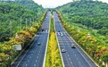 九江八里湖新区：路畅景美（图）
