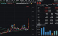 股价二连板！旗下金矿传来“喜讯”？公司公告：旧闻而已