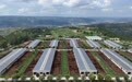 走出特色乡村振兴路　甘肃泾川这样干