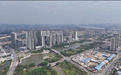 蓬江区棠下镇：乡风文明绘就“百千万工程”文明新图景