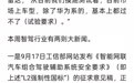 “L2强制性国标”征求意见稿发布，专家：50cm纸箱试验车企基本没有能过的