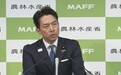 请“水军”吹捧自己贬低对手遭曝光，小泉进次郎回应了