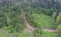 深呼吸 迎山风！千岛湖秋季登山指南 治愈力满分