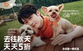 滴滴发放超4亿元司机补贴上线“天天5折”优惠 供需双向发力促消费
