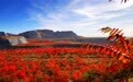 河北三河：打造全域文旅盛宴