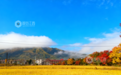 永新县：秋染田园金浪涌 云绕山峦诗意浓（图）