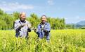 石家庄市井陉县南峪村：稻香蟹肥 一田双收