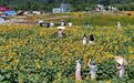 40℃！秋老虎今起“硬控”浙江 降温或要等到假期尾声