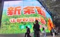 新余蜜桔惊艳亮相北京王府井（图）