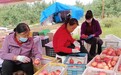“苹”“食”力带群众增收致富　甘肃灵台玩转双赢局