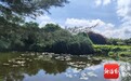 海南昌江海尾国家湿地公园国庆开园 免费向公众开放