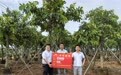 海南首笔花卉风灾气象指数保险完成赔付