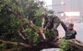 台风“麦德姆”过后，海南省军区第一时间出动兵力投入灾后重建一线