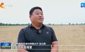 秋收河北 丨一场谷子地里的擂台赛
