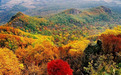 “五花山”成为黑龙江秋季旅游新IP